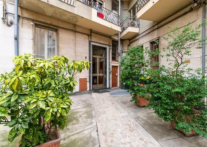 Tesoriera Comfy In * 토리노